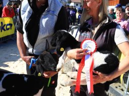 2019_ausstellung polling_643